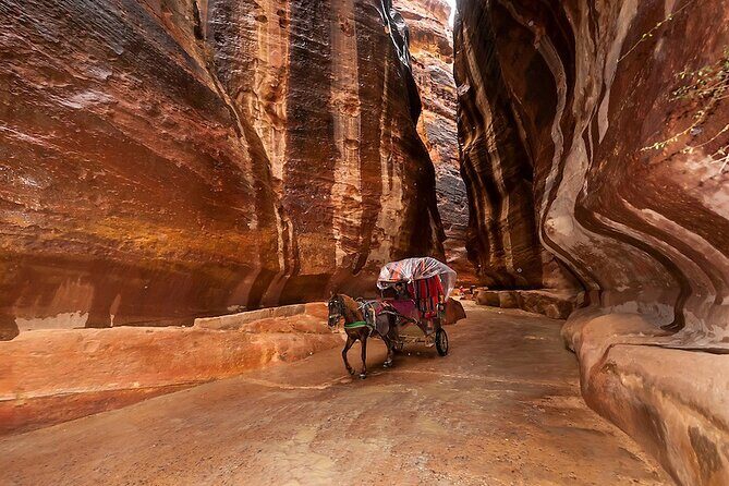 1 Day Tour to Petra From Eilat - Wadi Musa lunch at the right time