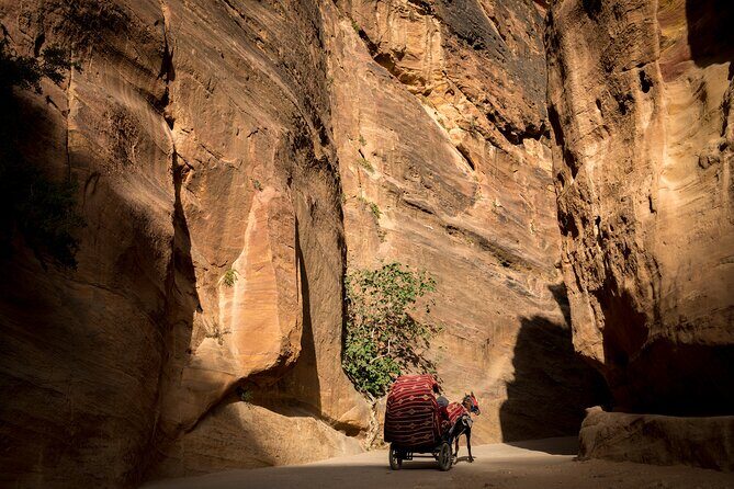 3-Day Petra and Wadi Rum Tour from Jerusalem - Petra Day: the Treasury, tombs, the Monastery, and your pacing options