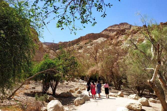 4WD Masada Ein Gedi Judea desert Dead Sea adventure 4x4 Tour. - Who Should Book This 4WD Masada–Ein Gedi–Dead Sea Day?