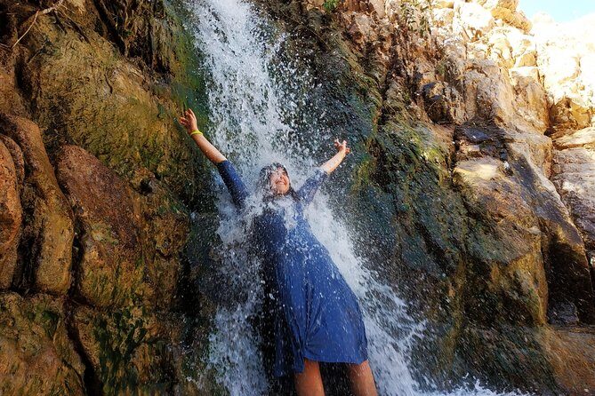 4WD Masada Ein Gedi Judea desert Dead Sea adventure 4x4 Tour. - Ein Gedi Oasis Nature Reserve: Water, Shade, and the Chances of Seeing Ibex