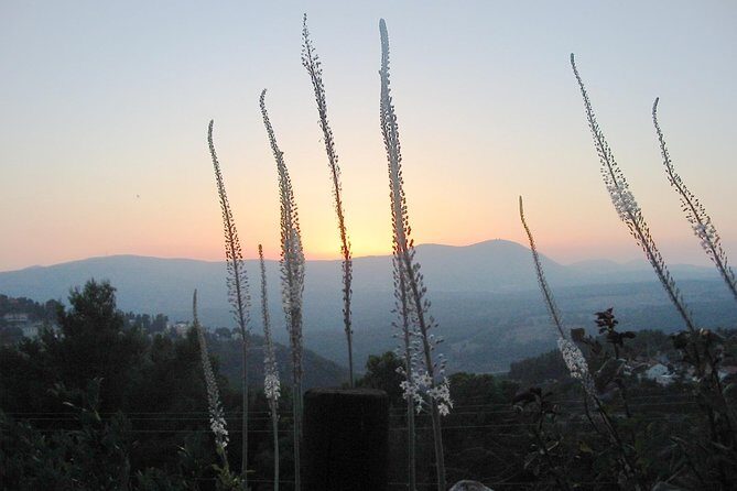 A Day of Spiritual Discovery in the Upper Galilee - Why Safed’s Kabbalah Stories Feel Personal on the Ground