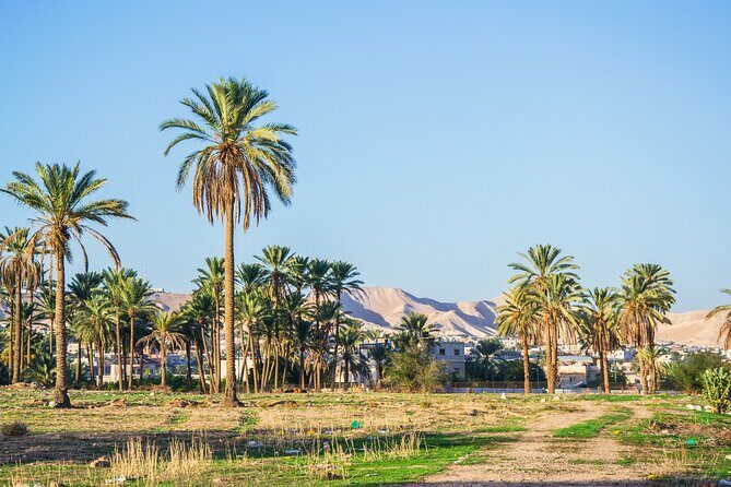 Bethlehem, Jericho & Jordan River Tour from Tel Aviv - Logistics that can make or break your morning