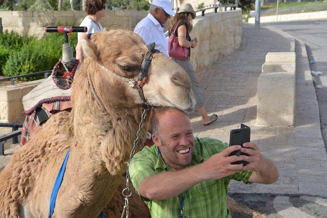 Boutique Walking Tour of Jerusalem - Price and what you’re really buying for $274.14 per group