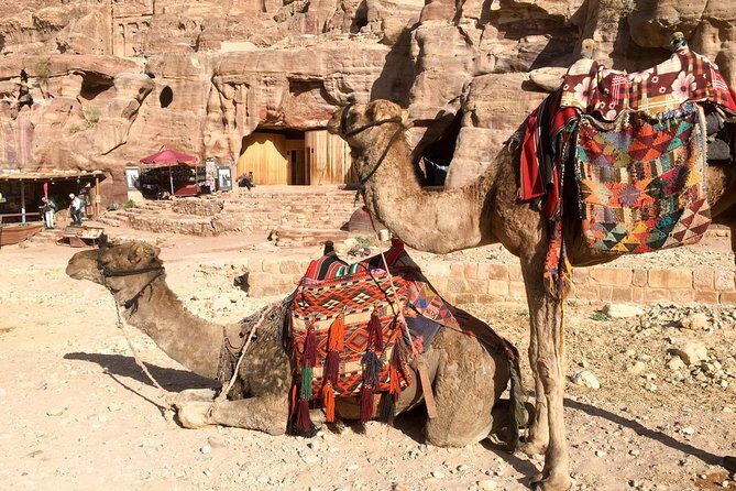 Day Tour to Petra by Bus from Tel Aviv - Bus through the Negev and into the Arava corridor