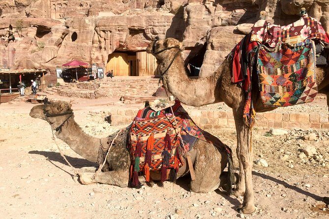 Day Tour to Petra from Eilat - Lunch, Water, and the Small Costs to Plan For