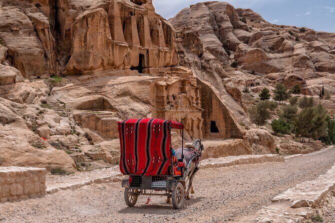 Day tour to Petra from Jerusalem - Wadi Rum Scenic Stop: Desert Views Without the Full Detour