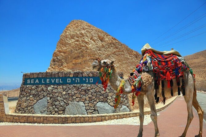 Dead Sea Relaxation Day from Tel Aviv - Dead Sea Relaxation Day from Tel Aviv: why this trip makes sense