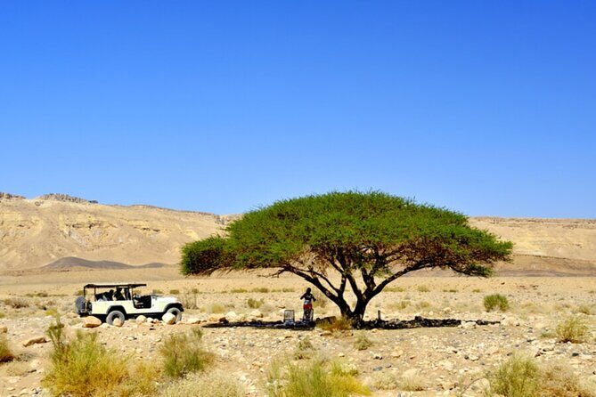 Desert Safari and Dead Sea Day Trip from Tel Aviv - From Tel Aviv to the Judean Desert: what the coach portion really adds