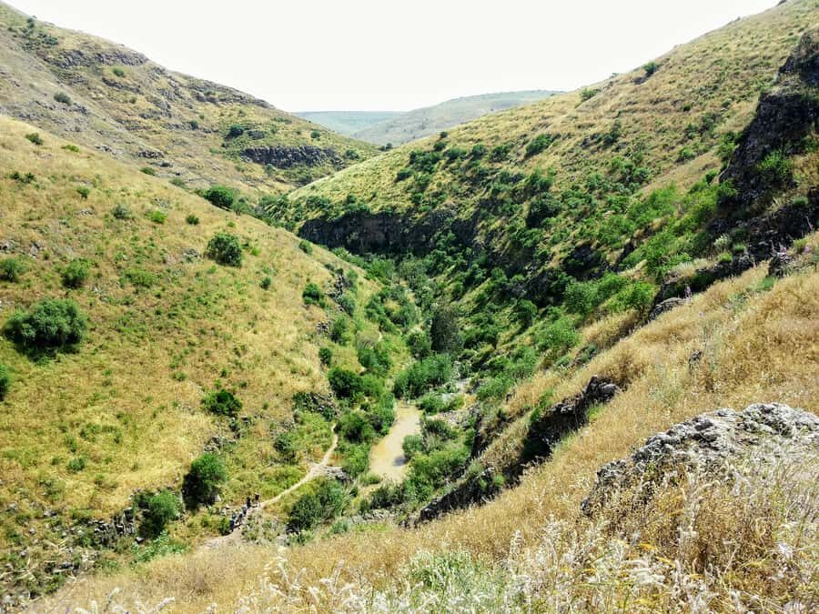 From Jerusalem: Day Trip to Golan Heights and Mount Bental - Jordan River crossing and Hamat Gader: nature plus a real-world pause