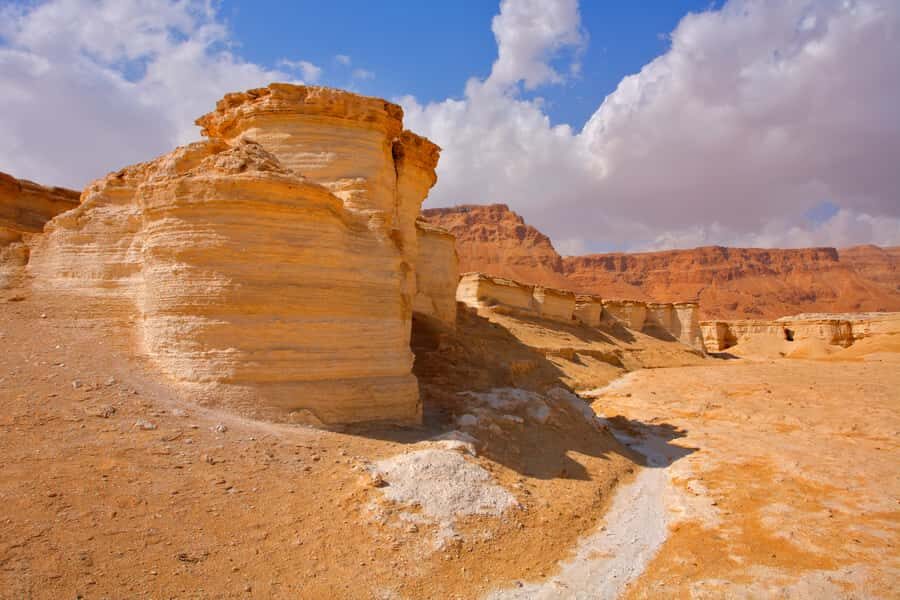 From Jerusalem: Masada & Dead Sea Full Day Tour with Pick Up - Who Should Book This Tour