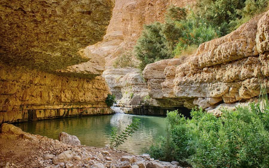 From Jerusalem: Masada Sunrise, Ein Gedi & Dead Sea Day Trip - From David Citadel to Masada: the early morning part