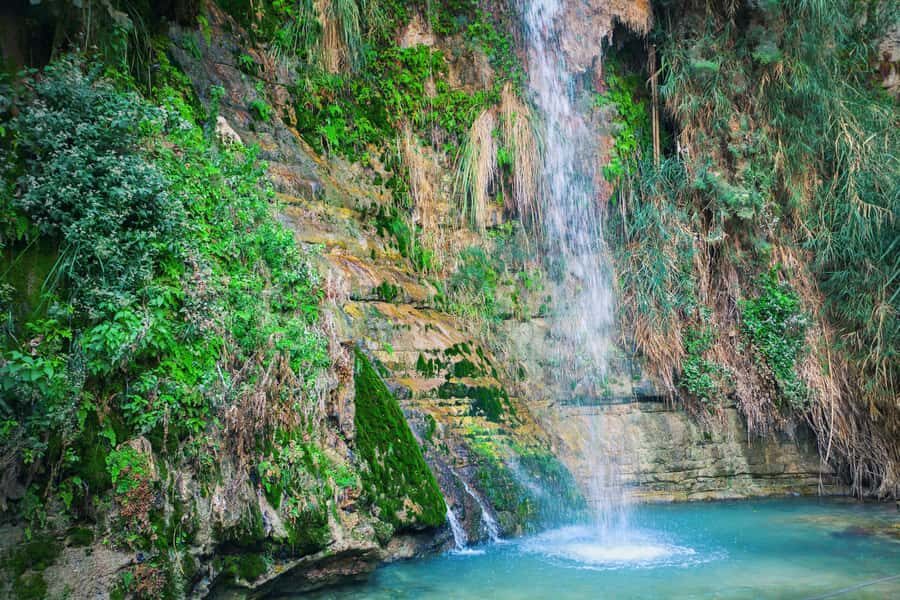 From Jerusalem: Masada Sunrise, Ein Gedi & Dead Sea Day Trip - Who this tour suits (and who should think twice)