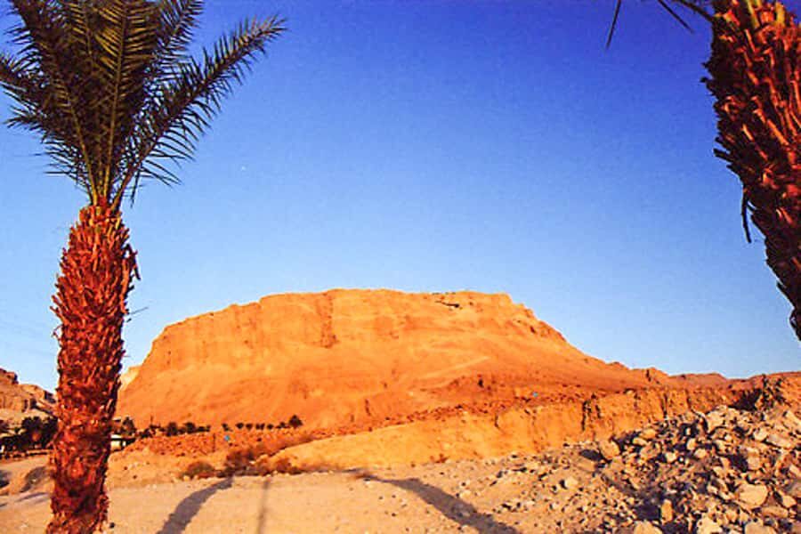 From Jerusalem: Masada&Dead Sea Tour INCLUDING ENTRANCE FEES - Who this Masada and Dead Sea tour suits best