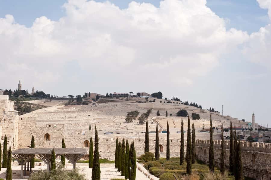 From Jerusalem: Old City & Dead Sea Full-Day Tour - What You Get in a Tight 10 Hours: Old City + Dead Sea