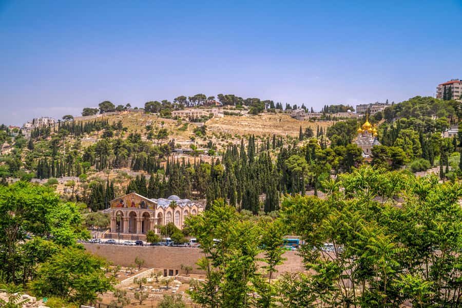 From Jerusalem Small group tour Old&New City ENTRY FEES INCL - Ein Karem: a gentler first chapter of Jerusalem