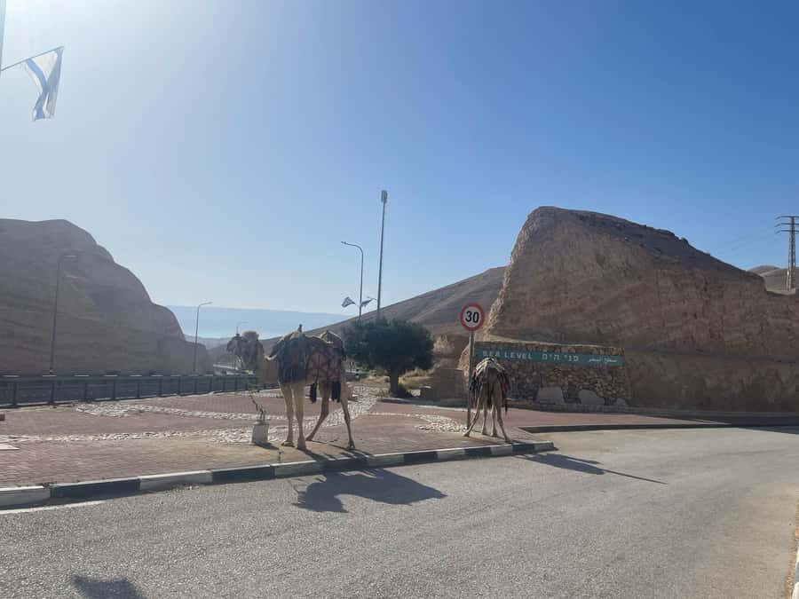 From Jlm : Masada Dead Sea Small Group Tour INCL. ENTRY FEES - Who This Tour Suits Best