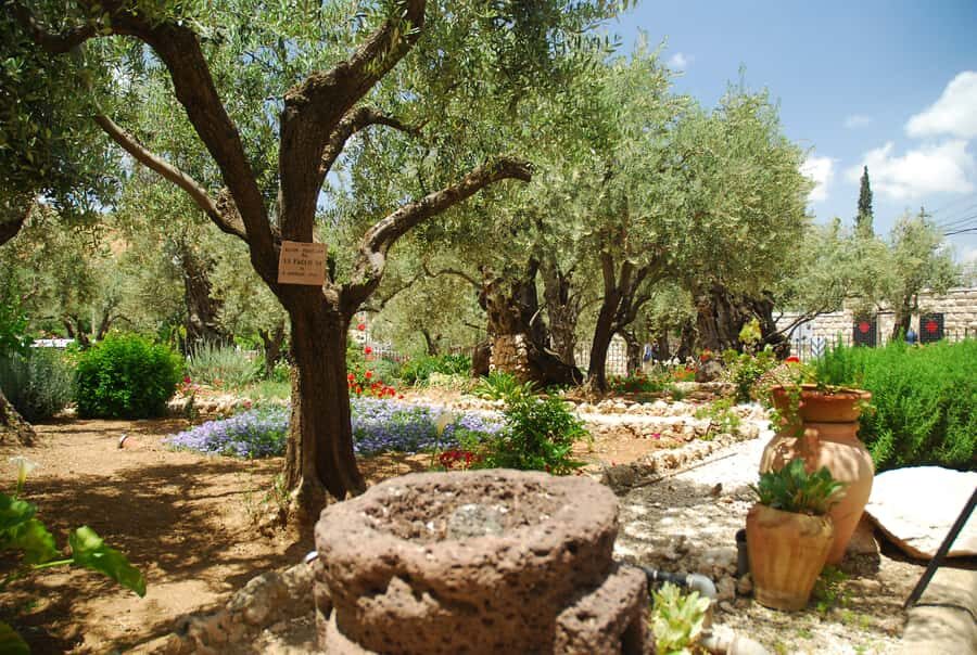 From Tel-Aviv: Day Tour to Origins of Christ in Jerusalem - Mt. Olives to the Ascension: the climb that sets the tone