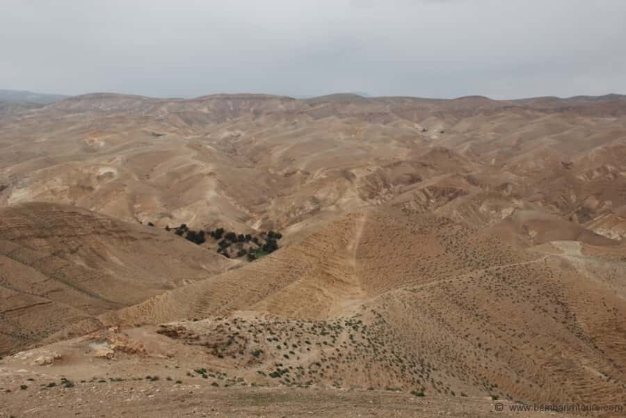 From Tel Aviv: Dead Sea Visit & Desert Safari - Qumran Caves: Where the Dead Sea Scrolls Story Gets Concrete