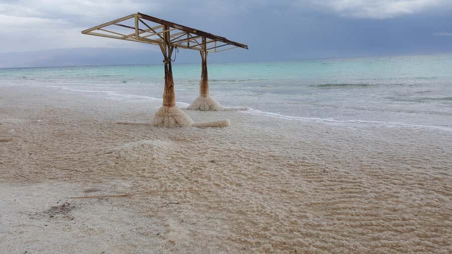 From Tel Aviv: Full-Day Dead Sea Relaxation Tour - Ein Gedi Oasis Stop: Water, Foliage, and David’s Story Connection