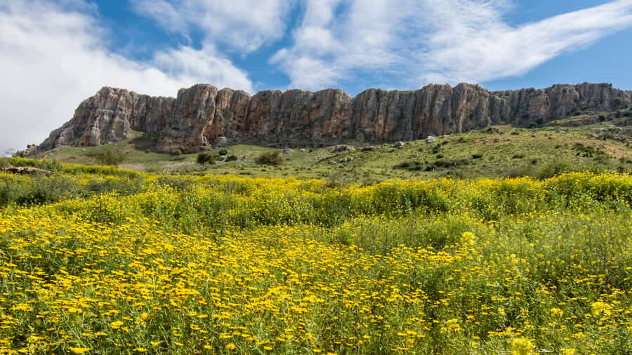 From Tel Aviv: Golan Heights Tour - Price and Logistics: What You’re Really Paying For