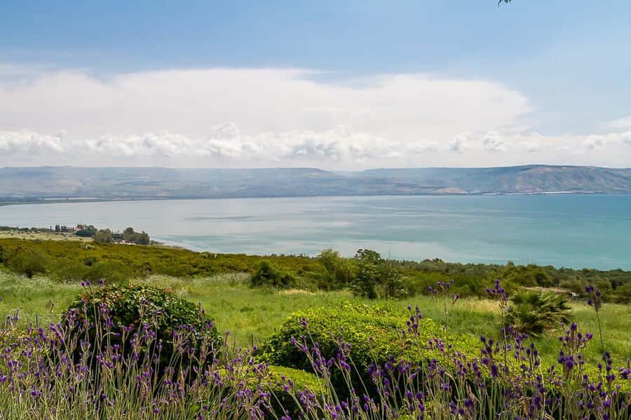 From Tel Aviv: Magdala, Mount of Beatitudes, and Cana Tour - Cana (Kfar Kanna): the first miracle site and Byzantine details inside the church