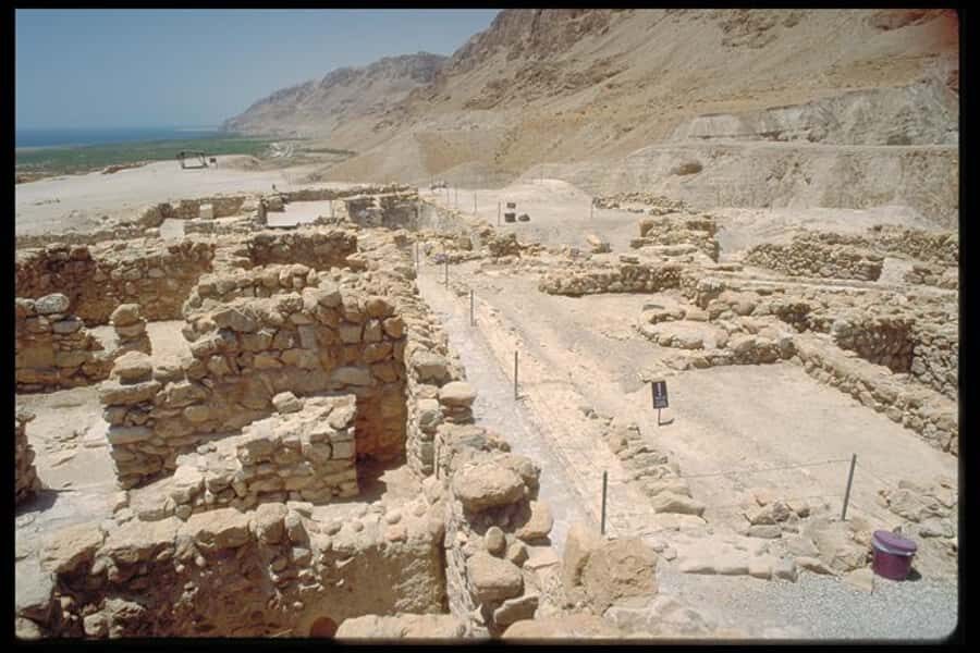 From Tel Aviv: Masada &Dead Sea Tour INCLUDING ENTRANCE FEES - Driving the Judean desert from Tel Aviv: why the morning matters