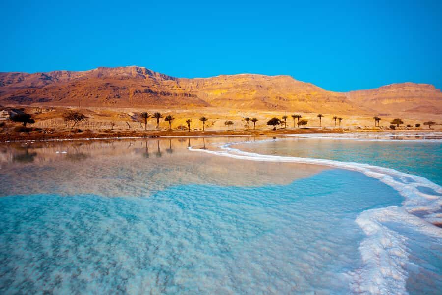 From Tel Aviv: Masada, Ein Gedi & Dead Sea Tour - Ein Gedi oasis: green relief in the middle of dry country