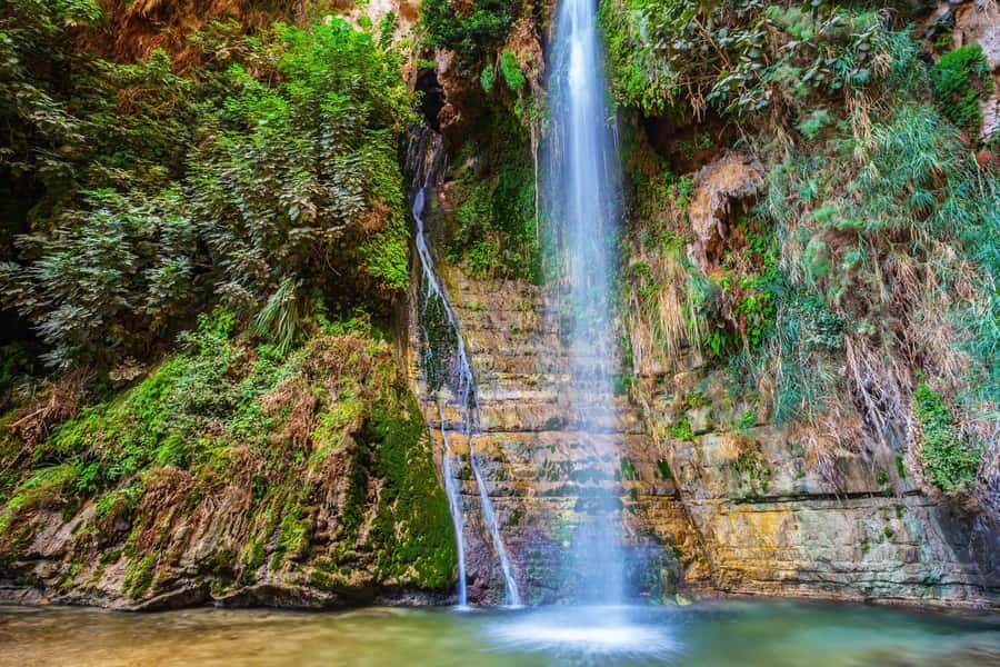 From Tel Aviv: Masada, Ein Gedi & Dead Sea Tour - Who this Masada–Ein Gedi–Dead Sea day trip is best for