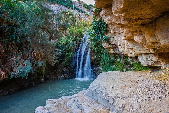 From Tel Aviv: Masada Sunrise, Ein Gedi & Dead Sea - Ein Gedi oasis walk: waterfalls, ibex territory, and dry-canyon contrast