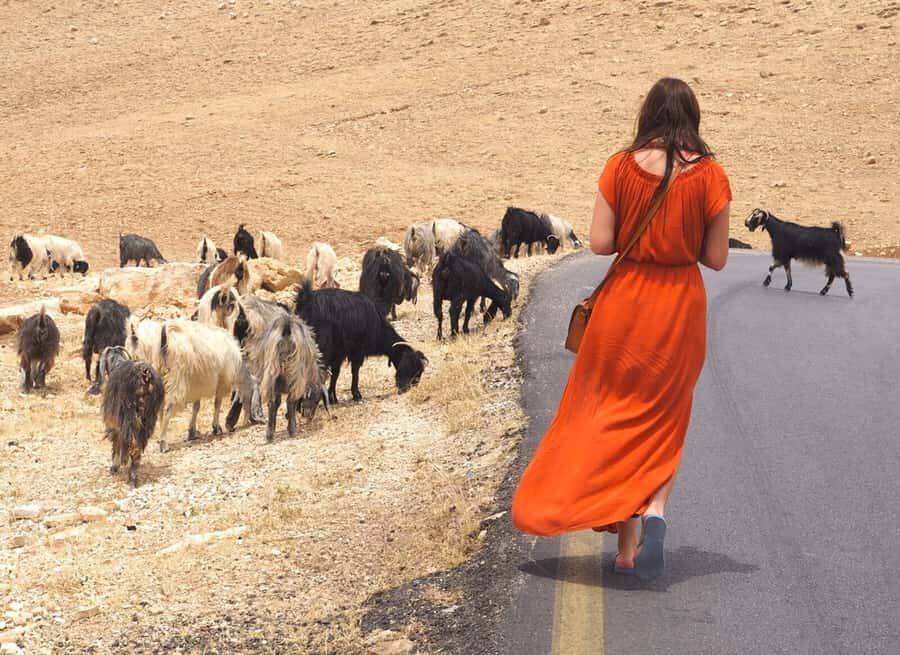 From Tel Aviv: West Bank Day Tour - Tips That Make the Day Go Smoother (Bring These)