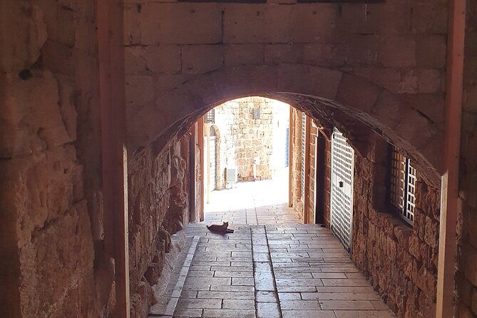 Full-Day Private Tour from Haifa to Old City of Acre - Key highlights you’ll care about
