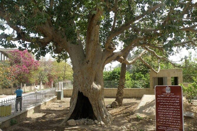 FullDay Bethlehem Jericho Guided Tour From Jerusalem -small group - Olive-Ox Wood Souvenirs, Coffee Breaks, and West Bank Snacks