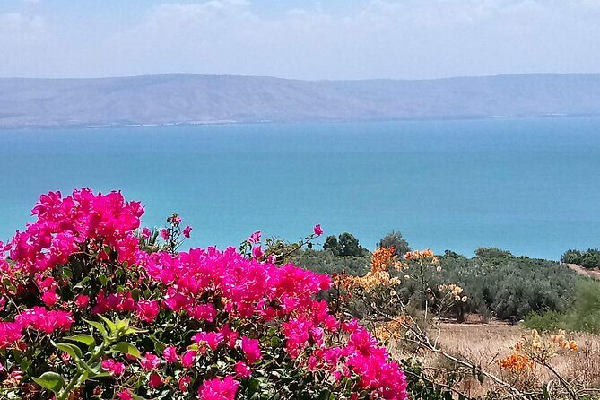 Galilee Day Tour - Key Points You’ll Care About