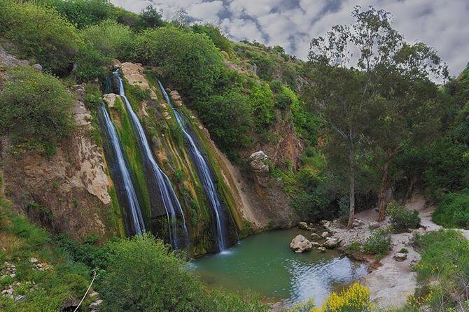 GoKEDEM Golan Heights ATV Action & Wine-Tasting Tour From Tel Aviv - Key highlights you’ll actually feel on this tour
