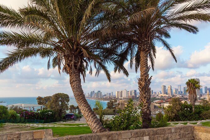 Jaffa and Neve Tzedek walking tour - Stop 1: Jaffa’s Coastline, Old City Lanes, and the Flea Market Area
