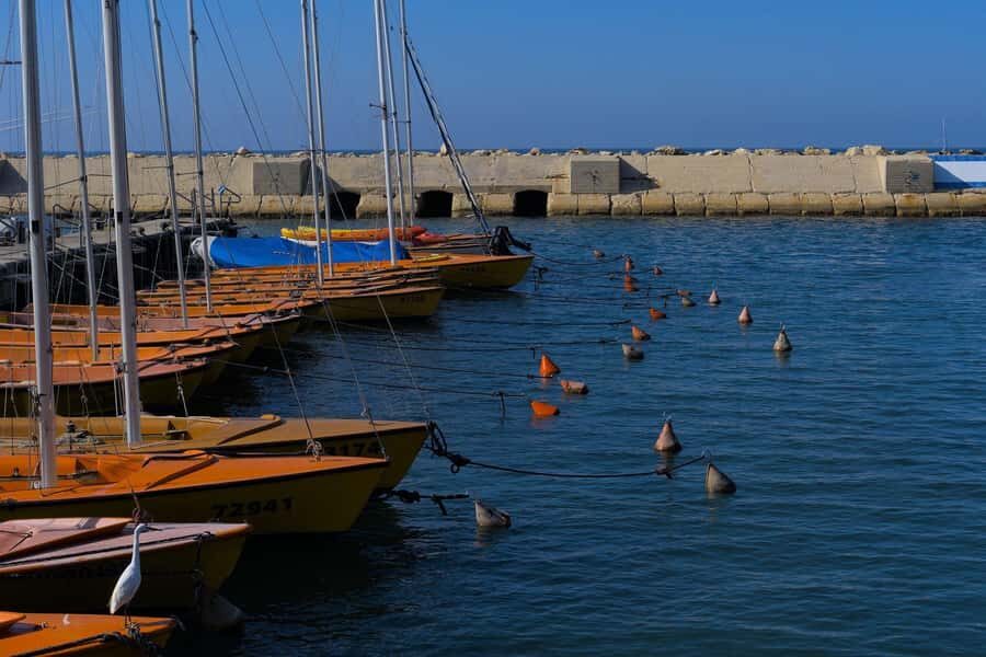 Jaffa: Old City, Port & Shuk Hapishpishim Walking Tour - What to bring, and what to consider before you lace up