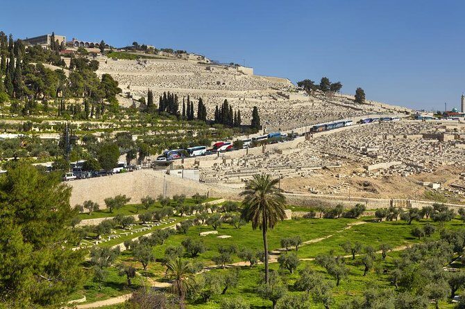 Jerusalem Half-Day Tour from Tel Aviv: Holy Sepulchre and Western Wall - Kidron Valley and Gethsemane: where the morning turns reflective
