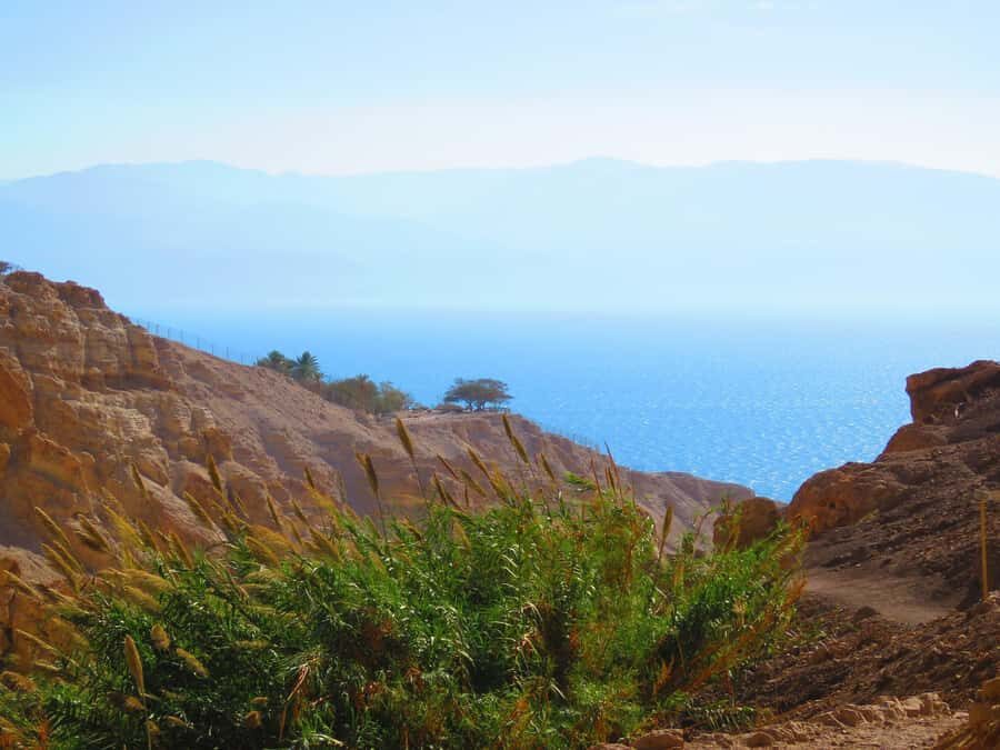 Jerusalem: Masada, Ein Gedi & Dead Sea Tour - Practical Tips: What to Pack for Comfort (and Fewer Headaches)