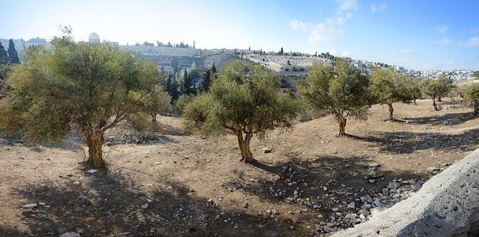 Jerusalem Old City from Tel Aviv - Entering Jerusalem through Zion Gate
