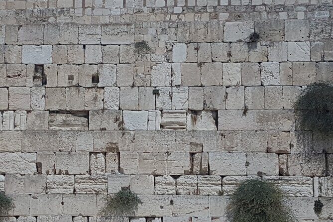 Jerusalem Private Full Day Tour - Cenacle and Dormition Abbey: last supper site and Mary’s sleeping tradition
