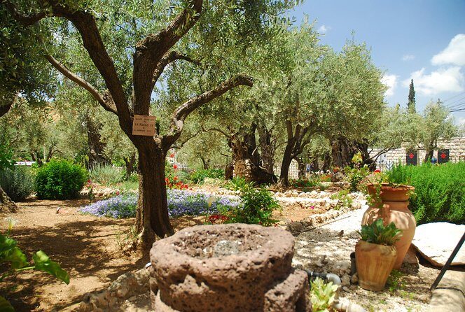 Jerusalem Walking Tour: In the Footsteps of Jesus - Via Dolorosa first stations: where the walk payoff starts