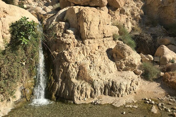 Masada, Ein Gedi and The Dead Sea from Jerusalem - Dead Sea private beach: float, mud, repeat