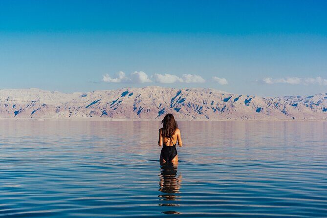 Masada, Ein Gedi, and The Dead Sea from Tel Aviv - Ein Gedi Nature Reserve: guided oasis walk and wildlife chances