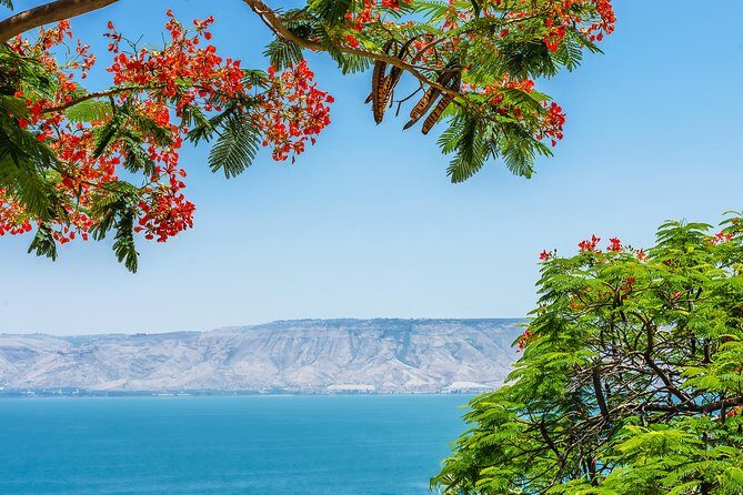 Nazareth and the Sea of Galilee Day Trip from Jerusalem - Jerusalem Pickup to Air-Conditioned Coach Comfort