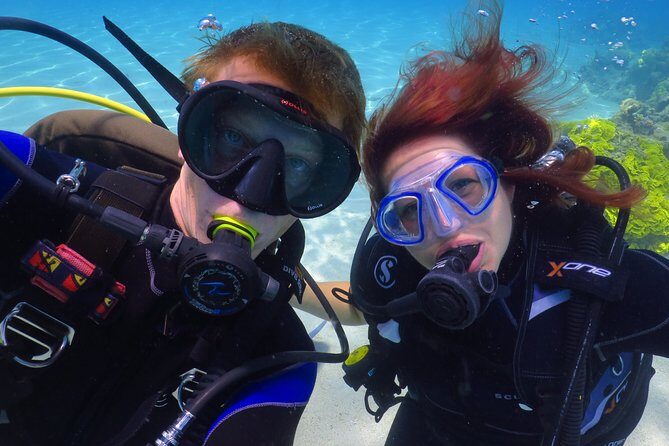 PADI Open Water Diver Course - 5 Days Scuba Diving - What’s Included in the $551 Price (And Why It’s Good Value)