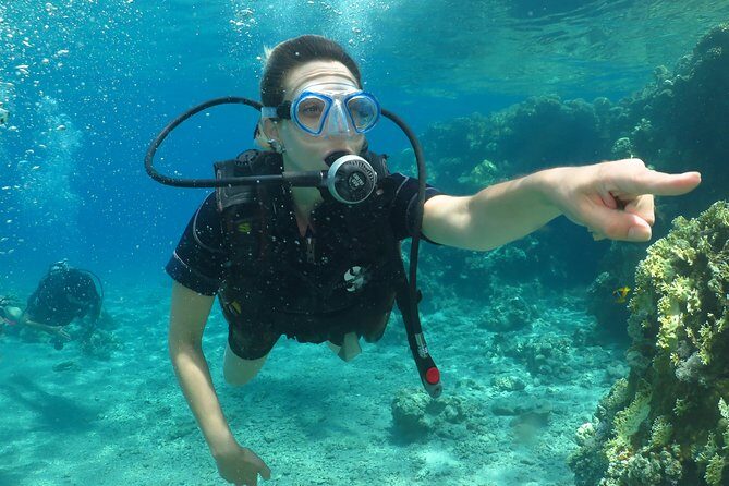 PADI Open Water Diver Course - 5 Days Scuba Diving - Meeting Point and Timing: Starting at 9:00 am in Eilat