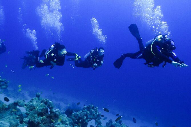 PADI Open Water Diver Course - 5 Days Scuba Diving - Small Group Size (Max 8) and Tailored Coaching That Matters