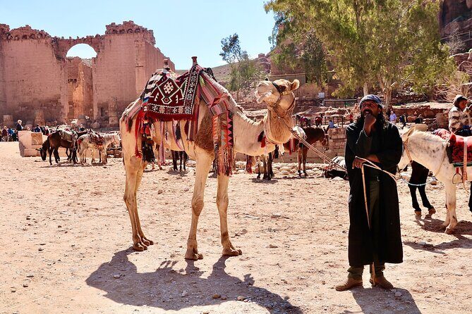 Petra 1-Day Tour from Tel Aviv with FREE Authentic Lunch - Price and Value: Is $299 Worth It for One Day of Petra?