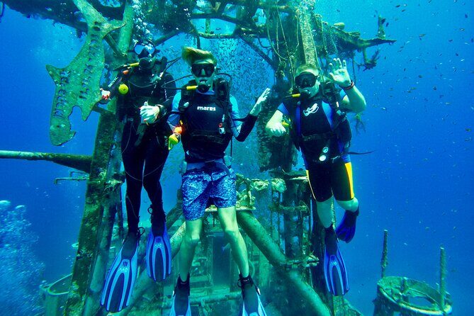 Private Scuba Diving Tour with Transportation and Guide - Underwater highlights: Navy shipwrecks plus Red Sea life