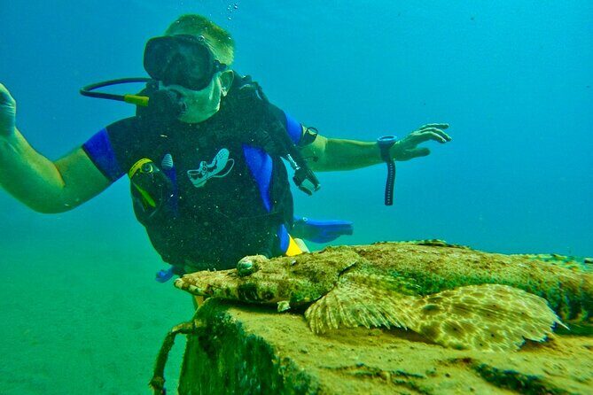 Private Scuba Diving Tour with Transportation and Guide - Your skill level won’t be the deal-breaker
